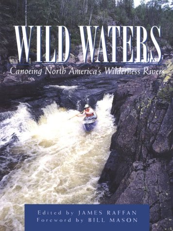 Book cover for Wild Waters