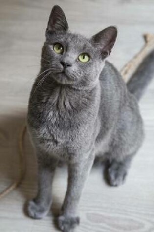 Cover of Russian Blue Cat Journal