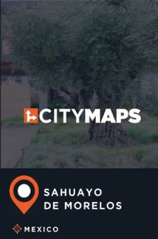 Cover of City Maps Sahuayo de Morelos Mexico