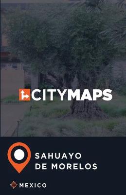 Book cover for City Maps Sahuayo de Morelos Mexico