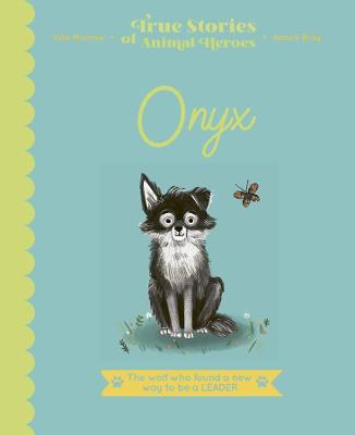 Book cover for Onyx