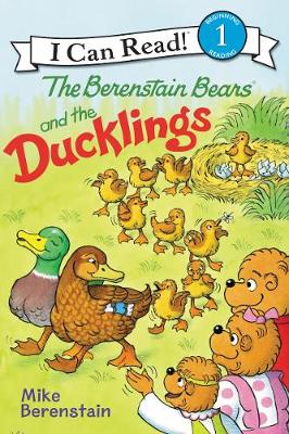 Book cover for Berenstain Bears and the Ducklings