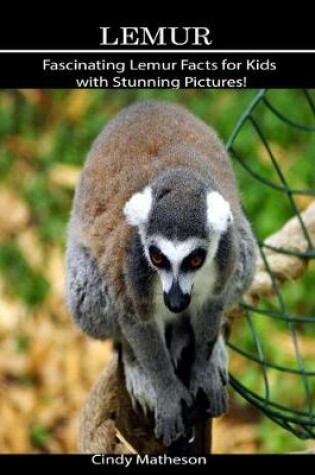 Cover of Lemur