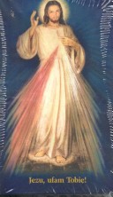 Book cover for Divine Mercy Prayer Card