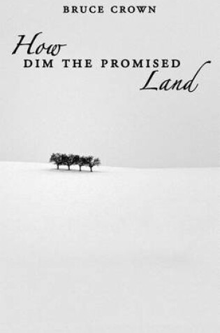 Cover of How Dim the Promised Land