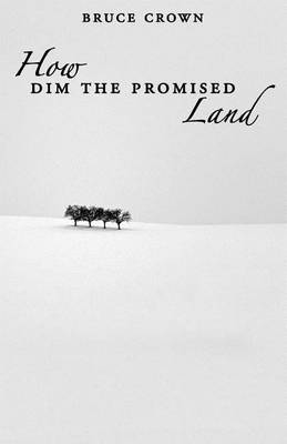 Book cover for How Dim the Promised Land