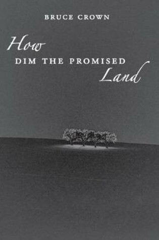 Cover of How Dim the Promised Land