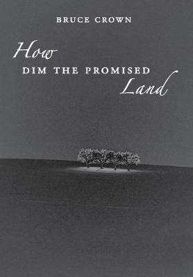 Book cover for How Dim the Promised Land