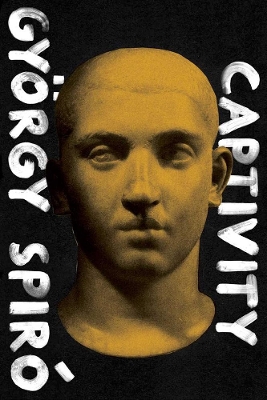 Book cover for Captivity