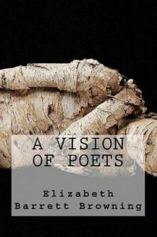 Cover of A Vision of Poets