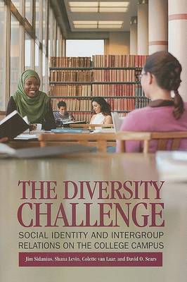 Book cover for The Diversity Challenge