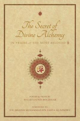 Book cover for The Secret of Divine Alchemy