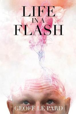 Book cover for Life in a Flash