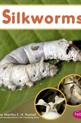 Cover of Silkworms