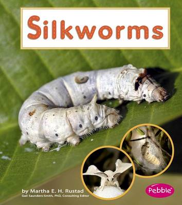 Cover of Silkworms