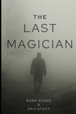 Book cover for The Last Magician