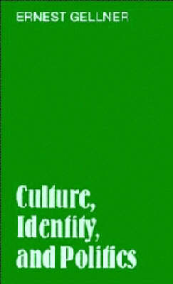 Book cover for Culture, Identity, and Politics