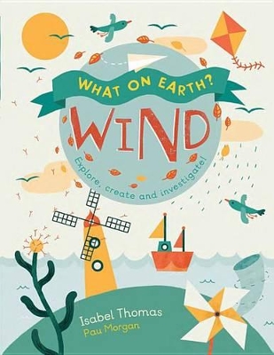 Book cover for What on Earth?: Wind