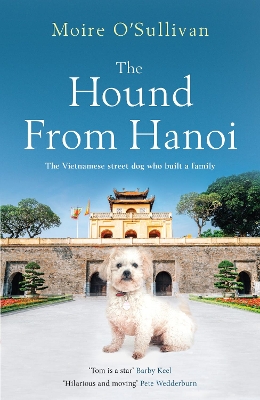 Book cover for The Hound from Hanoi