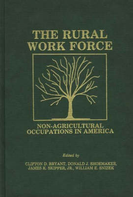 Book cover for The Rural Workforce