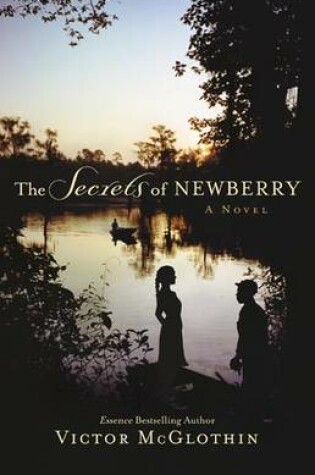 Cover of The Secrets of Newberry