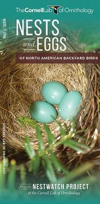 Book cover for Nests and Eggs of North American Backyard Birds