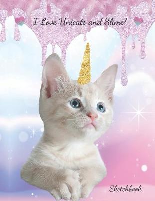 Book cover for I Love Unicats and Slime!