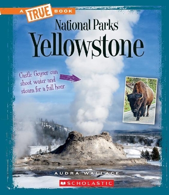 Book cover for Yellowstone (True Book: National Parks) (Library Edition)