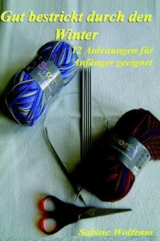 Cover of Gut bestrickt durch den Winter