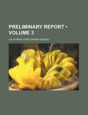 Book cover for Preliminary Report (Volume 3)