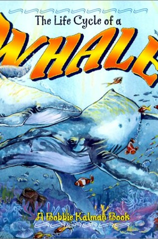 Cover of The Life Cycle of the Whale