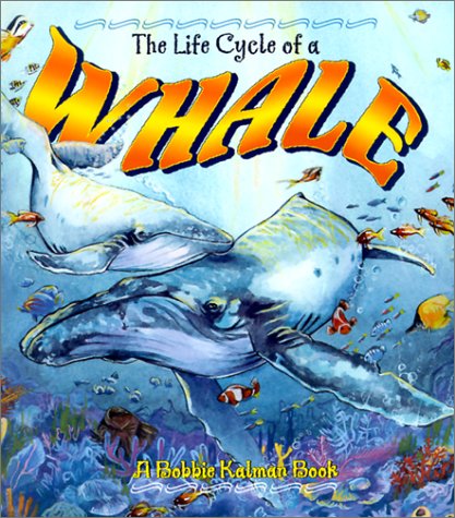 Book cover for The Life Cycle of the Whale