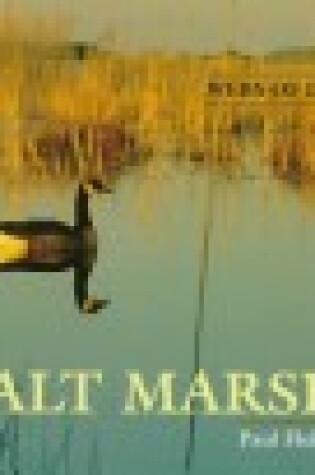 Cover of Salt Marsh