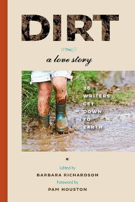 Book cover for Dirt