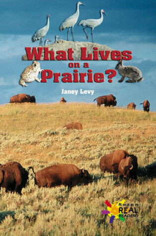 Cover of What Lives on a Prairie?