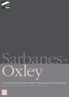 Book cover for Sarbanes-Oxley