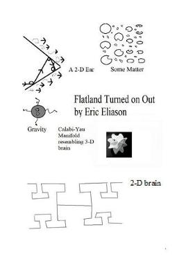 Book cover for Flatland Turned On Out