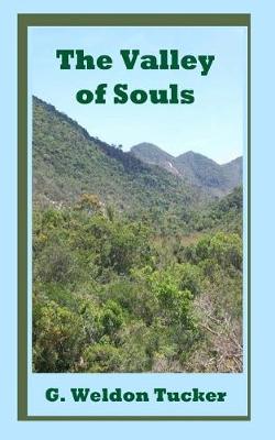 Book cover for The Valley of Souls