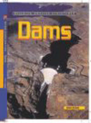 Book cover for Building Amazing Structures: Dam   (Cased)