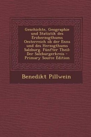 Cover of Geschichte, Geographie Und Statistik Des Erzherzogthums Oesterreich OB Der Enns Und Des Herzogthums Salzburg. Funfter Theil