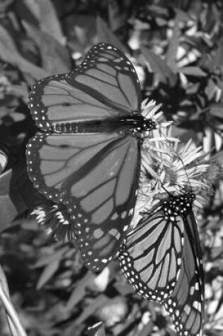 Cover of Monarch Butterfly Pair in Black and White