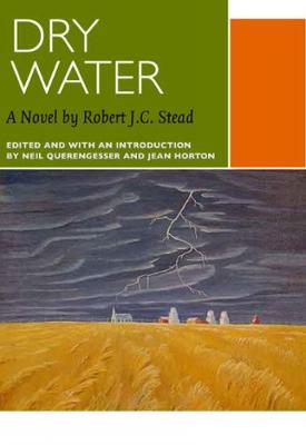 Book cover for Dry Water