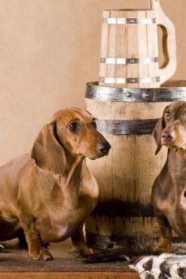 Book cover for A Pair of Dachsund's Guarding the Beer, for the Love of Dogs