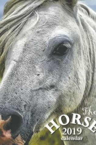 Cover of The Horse 2019 Calendar