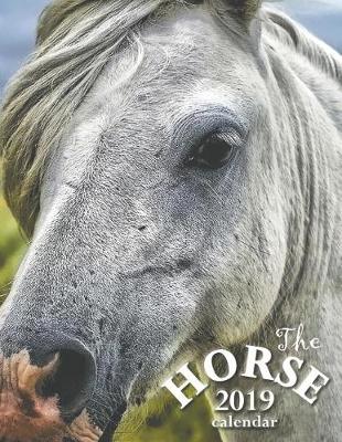 Book cover for The Horse 2019 Calendar