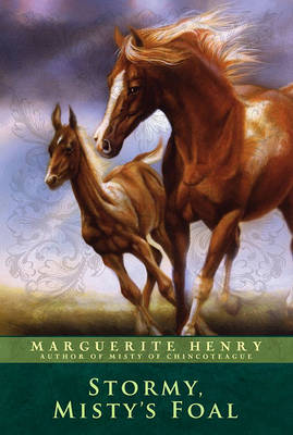 Book cover for Stormy, Misty's Foal