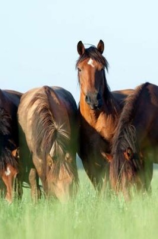 Cover of Horses Gathered in a Field