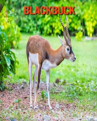 Book cover for Blackbuck