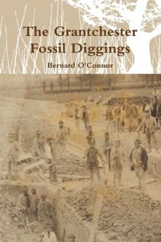 Cover of The Grantchester Fossil Diggings