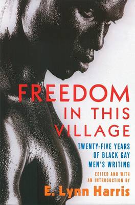 Book cover for Freedom in This Village